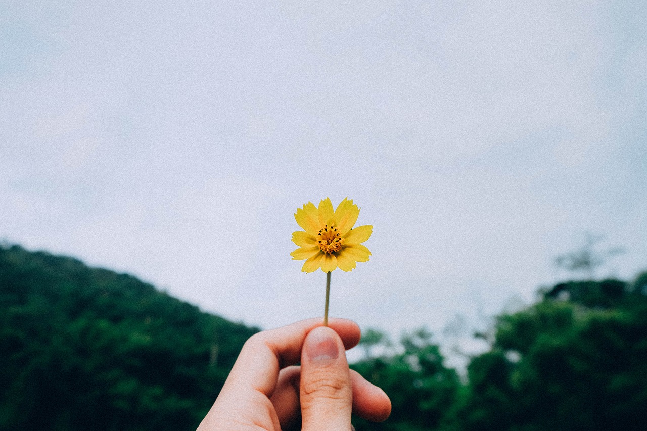 英语365训练视频,让英语学习像呼吸一样自然,每天进步一点点 英语365训练视频,让英语学习像呼吸一样自然,每天进步一点点